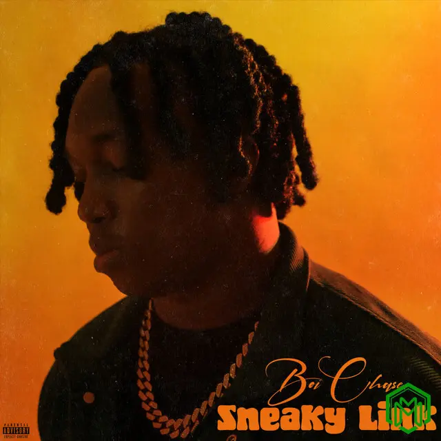 Boi Chase - Sneaky Link