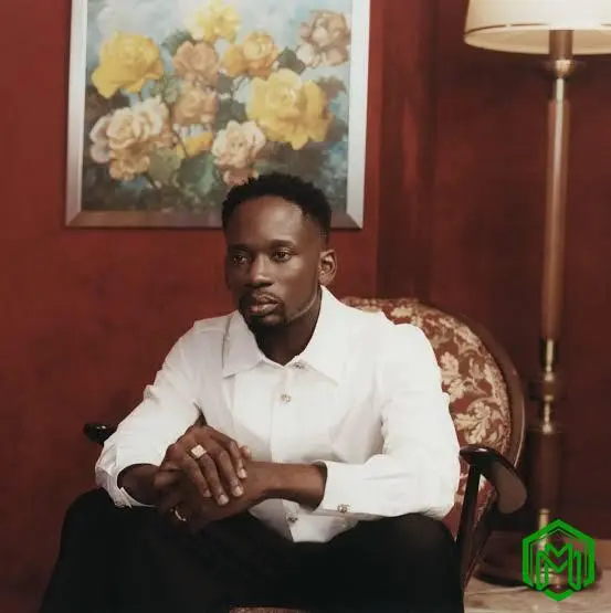 Maison Rouge EP audio by Mr Eazi