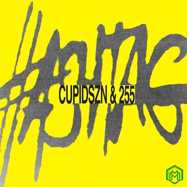 Hashtag audio by CupidSZN feat. 255