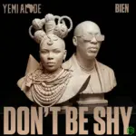 Don’t Be Shy audio by Yemi Alade, Bien