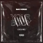 Your Body (Cocaine) audio by Dai Verse