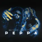 Peppa audio by MetaBoy feat. Seyi Vibez