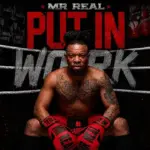 Put In Work audio by Mr Real